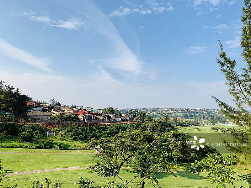 卢旺达，田野上的树木和植物图片素材