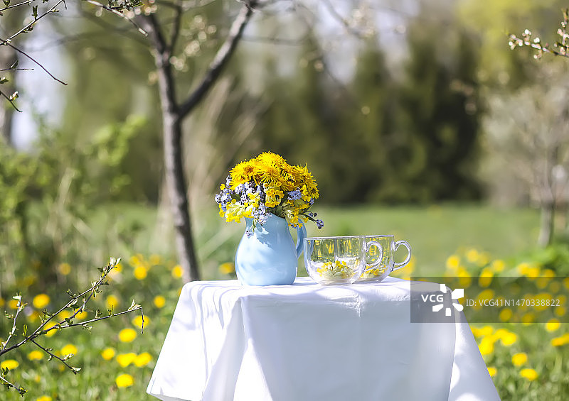 玻璃杯装草药茶：拉脱维亚的陶瓷罐装蒲公英花图片素材
