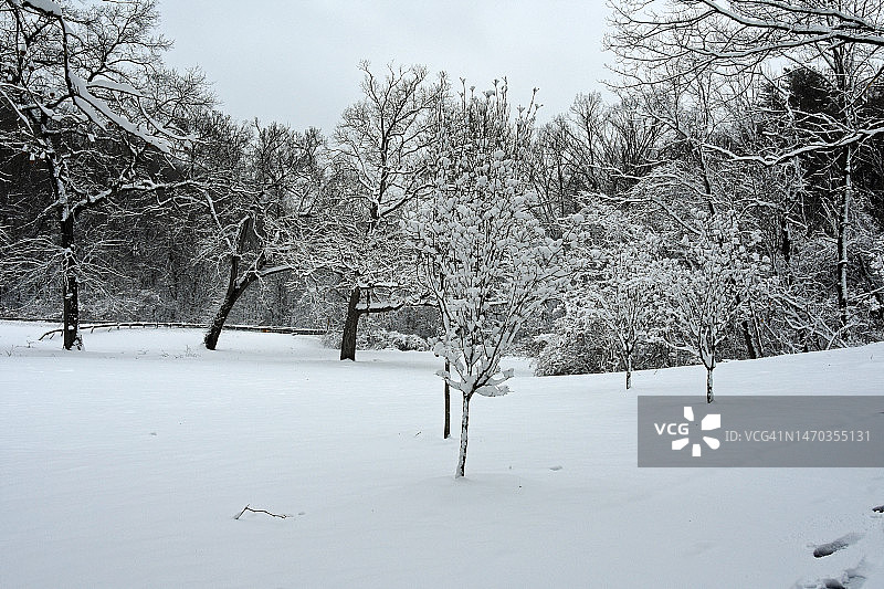 纽约市北部郊区的首场降雪，拍摄于纽约州白原市图片素材