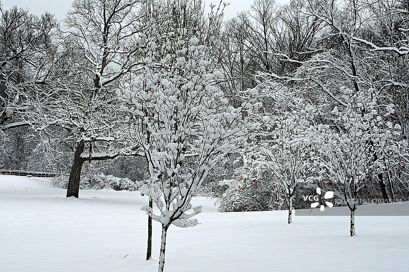 纽约市北部郊区的首场降雪，拍摄于纽约州白原市图片素材