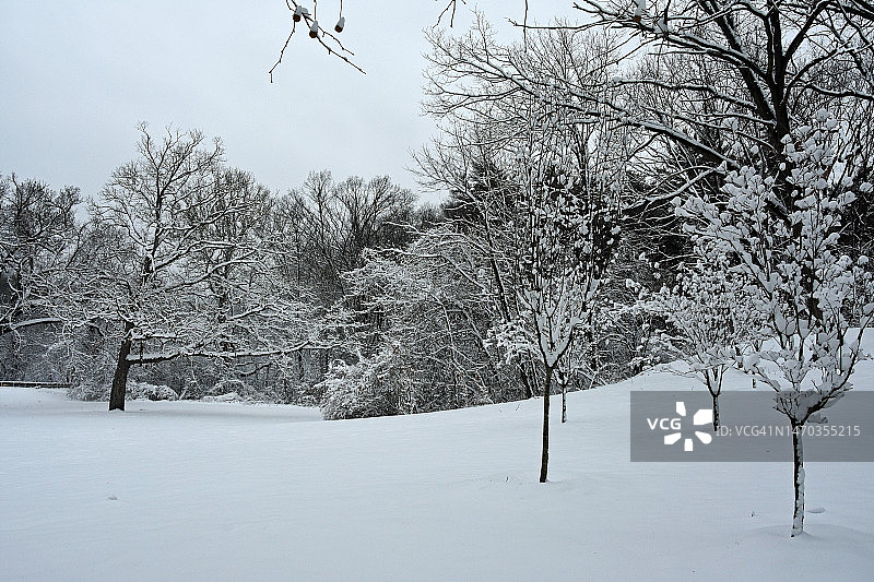 纽约市北部郊区首次出现可测量的降雪。照片摄于纽约白原。图片素材