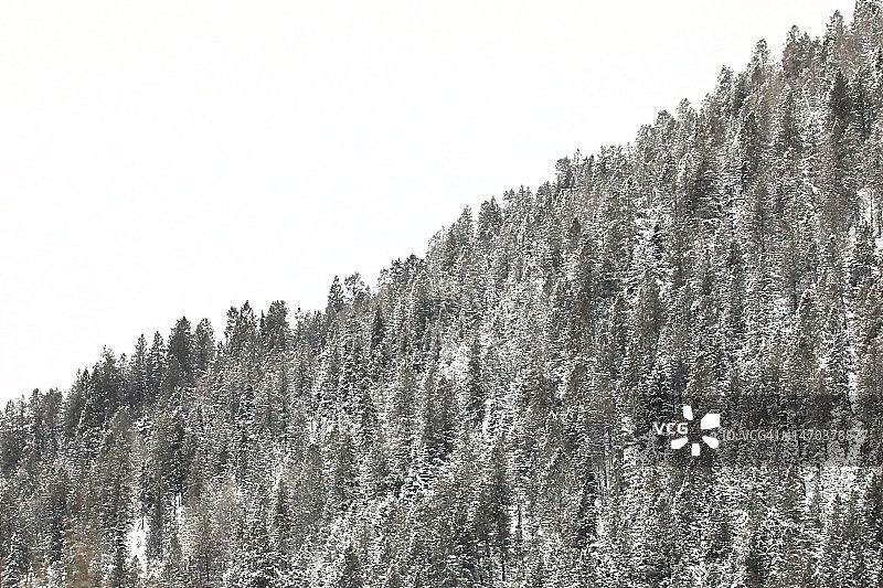冬季科罗拉多山脉。图片素材