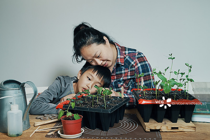 和儿子在阳台上园艺的快乐年轻女人，都市花园概念图片素材