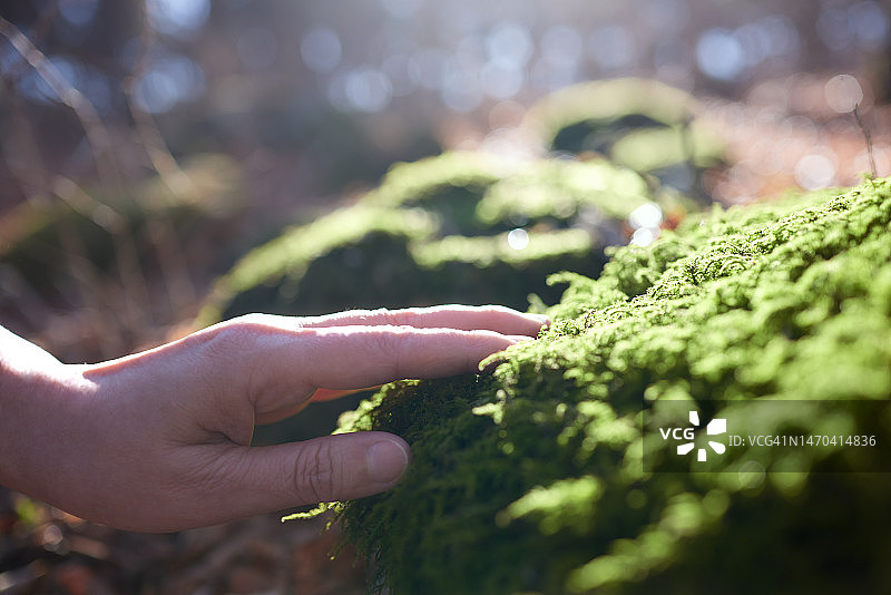 手拿植物图片素材