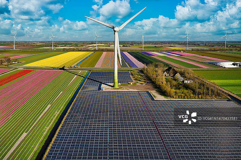荷兰郁金香花田与风力涡轮机及太阳能电池板航拍图片素材