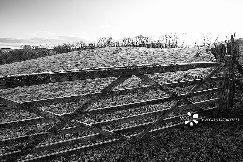 冬季田野图片素材