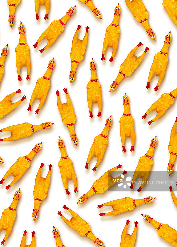 有趣的橡胶鸡图片素材