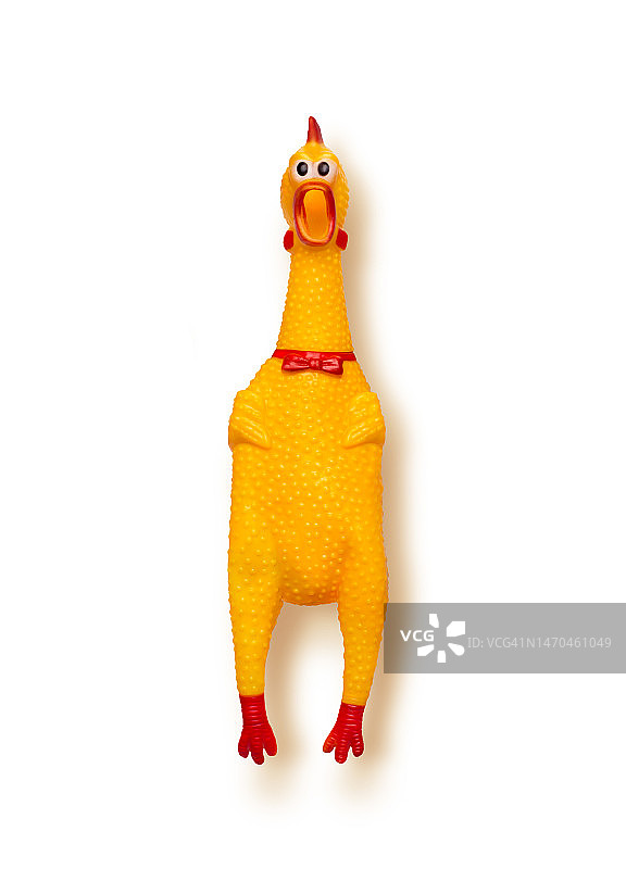 有趣的橡胶鸡图片素材