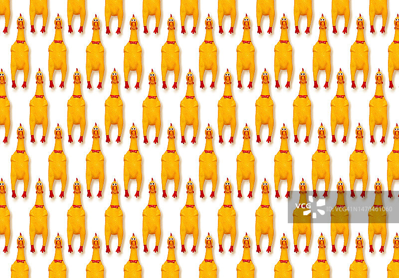 有趣的橡胶鸡图片素材