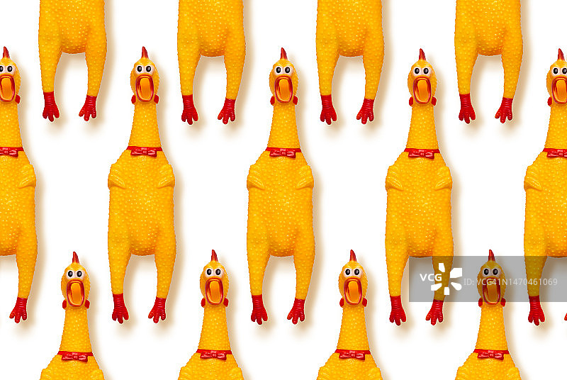 有趣的橡胶鸡图片素材