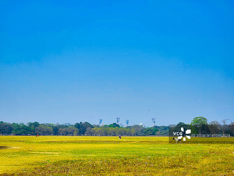 加尔各答广场的夏日傍晚图片素材