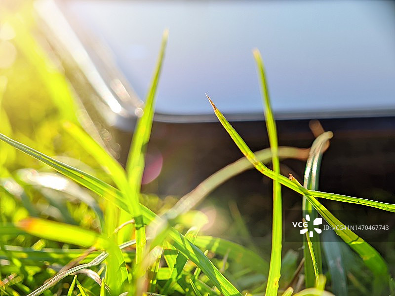 草地上的手机概念图片素材
