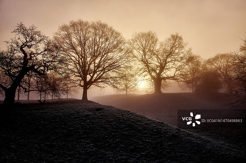 雾中的格林威治公园，伦敦，英格兰图片素材