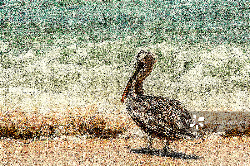 海鸥旅行记图片素材