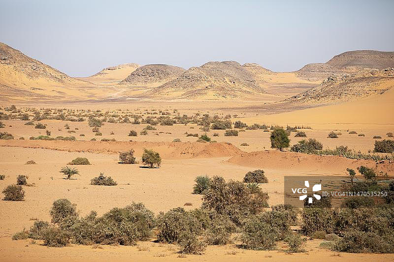努比亚沙漠，瓦迪埃塞布阿，阿斯旺，埃及图片素材