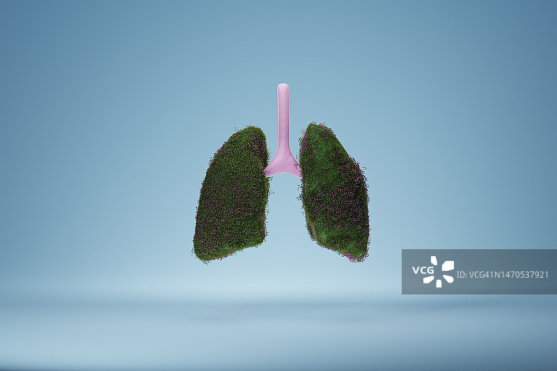 肺图片素材