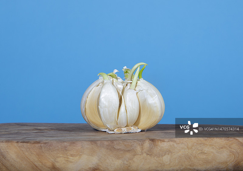 带嫩芽的蒜头图片素材