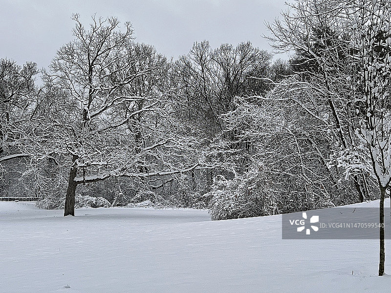 纽约市北部郊区的首场降雪，拍摄于纽约州白原市图片素材