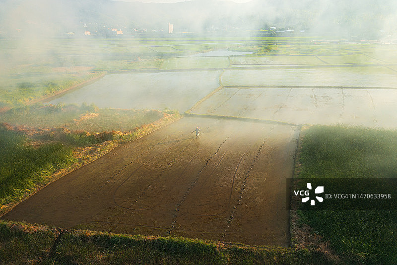 农民在焚烧秸秆的烟雾下喷洒肥料图片素材
