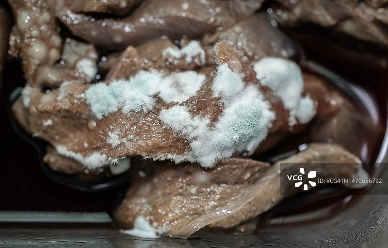 生猪肝上的霉菌特写。发霉的食物具有令人不快的味道和质地，并且可能带有绿色或白色的模糊斑点。图片素材