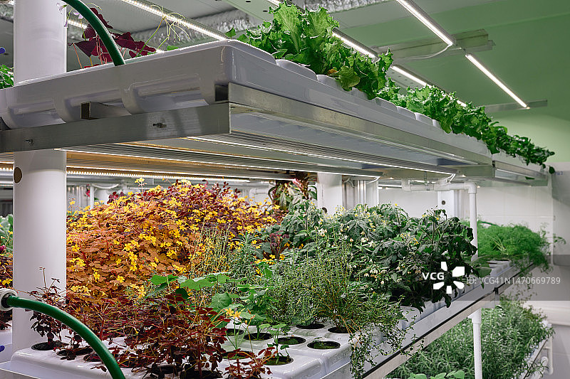 垂直农业图片素材