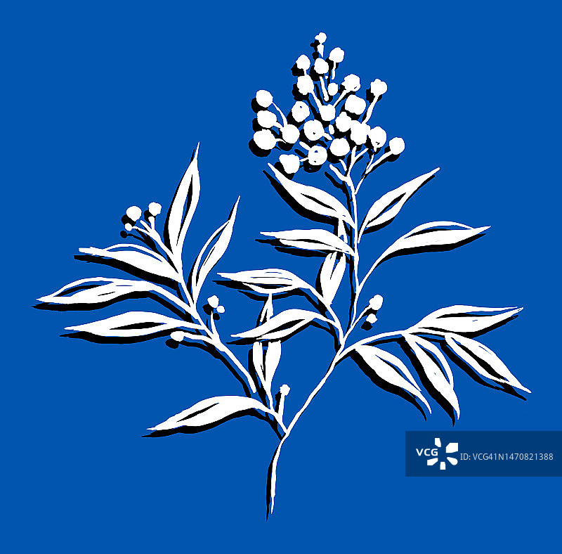 三色植物和水果插画图片素材