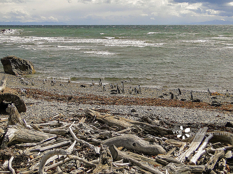 智利最南端蓬塔阿雷纳斯旅游图片素材