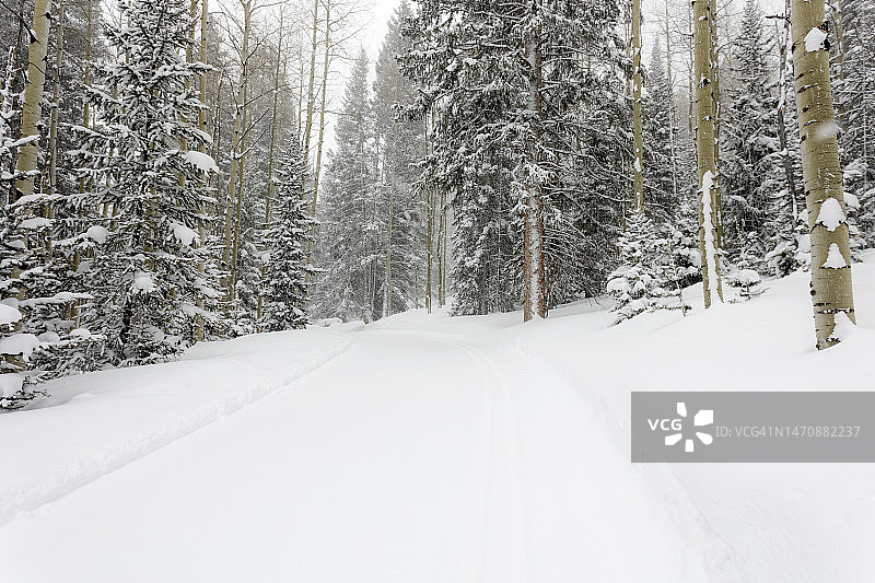 年长者参加越野滑雪图片素材