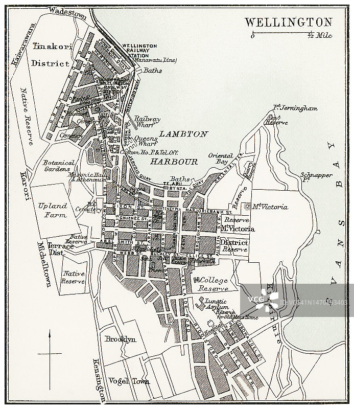 惠灵顿古老彩色石印地图，新西兰图片素材