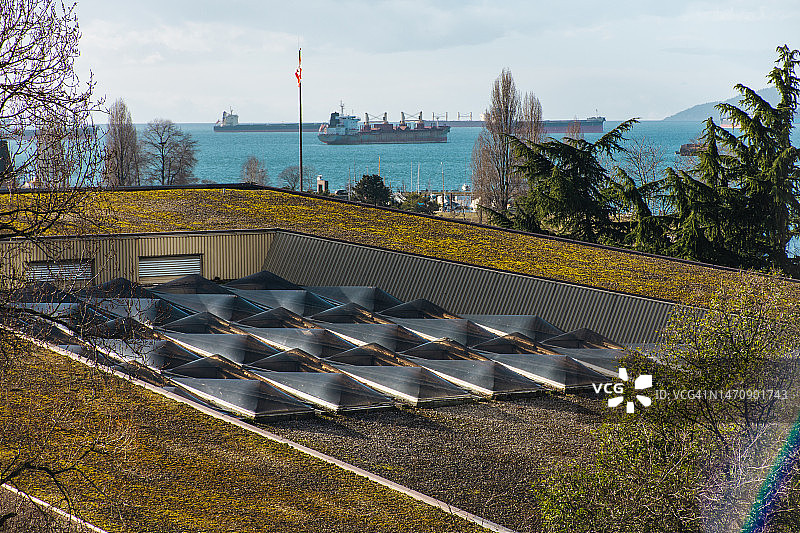 建筑物顶部的绿色屋顶图片素材