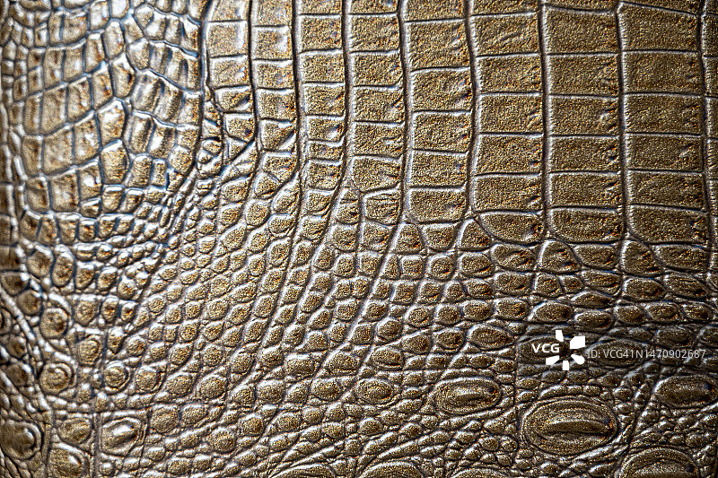 橙棕色鳄鱼皮革特写镜头图片素材