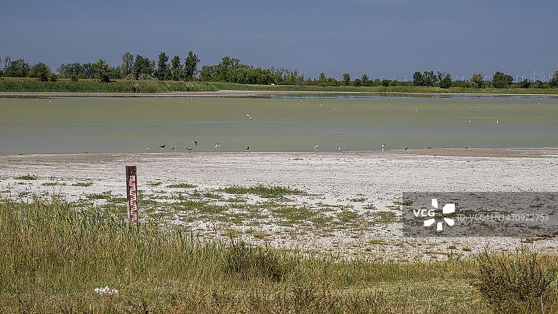 奥地利布尔根兰州新锡德尔湖-塞温克尔国家公园的达尔肖或瓦姆湖严重干涸图片素材