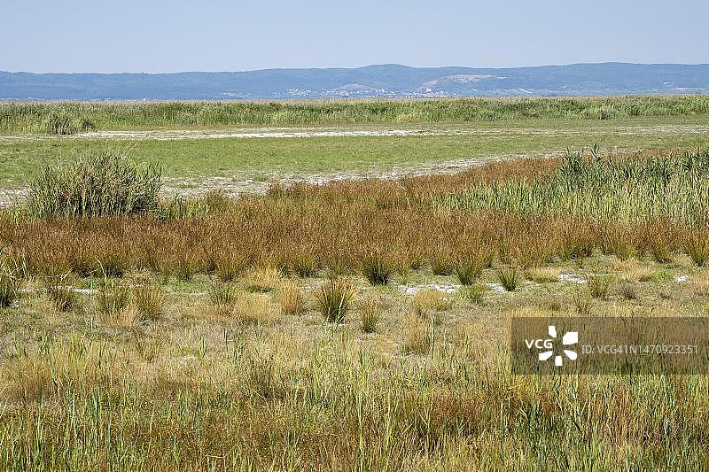 伊尔米茨附近严重干涸的马匹围场，诺伊锡德尔湖-塞温克尔国家公园，奥地利布尔根兰州图片素材
