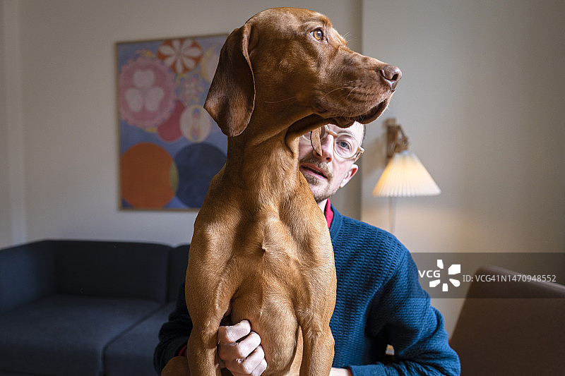 狗狗坐在客厅主人的腿上图片素材