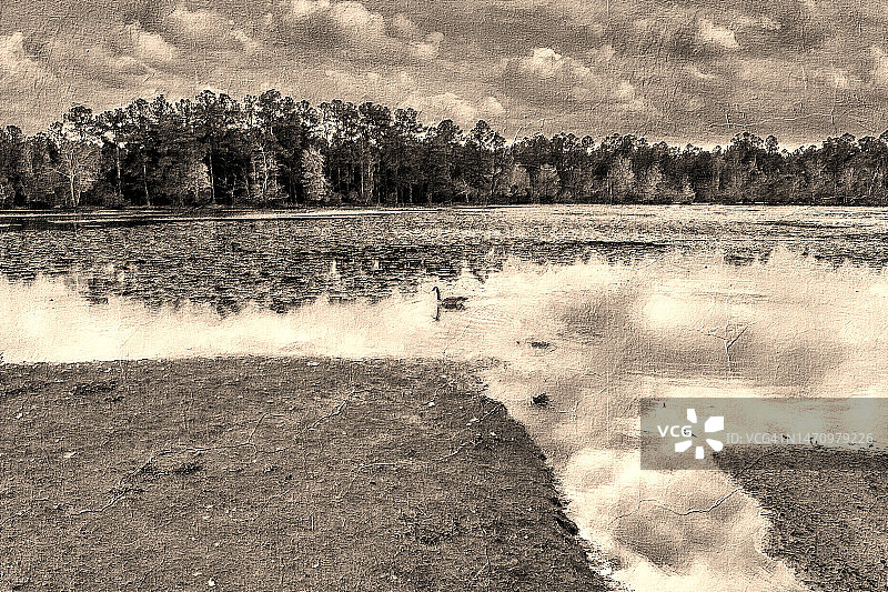 黎明嘎嘎叫图片素材