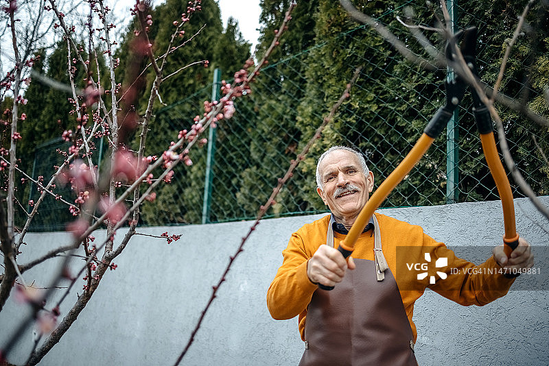 老人享受在花园里工作的退休生活图片素材