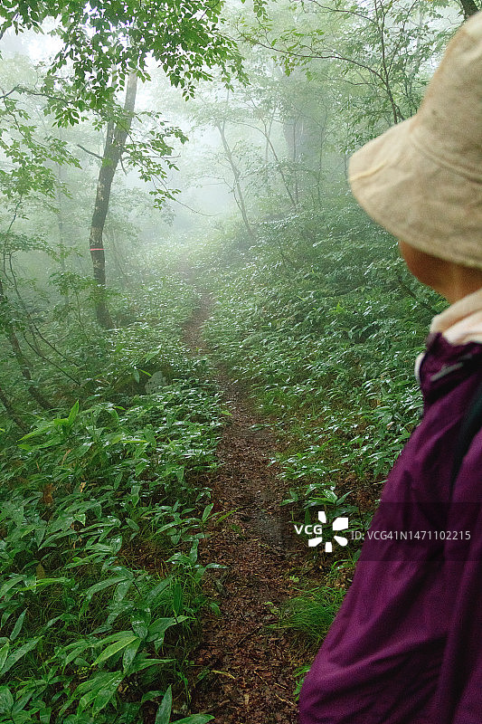 日本广岛比婆山的雾蒙蒙的自然小径图片素材