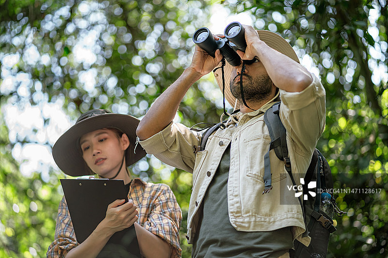 环保生物学家情侣观察树梢图片素材