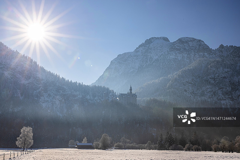 阳光明媚下的新天鹅堡-巴伐利亚阿尔卑斯山的冬天图片素材