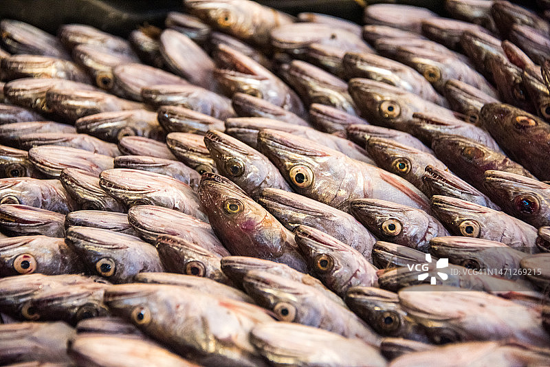 市场上出售的突尼斯鳕鱼图片素材