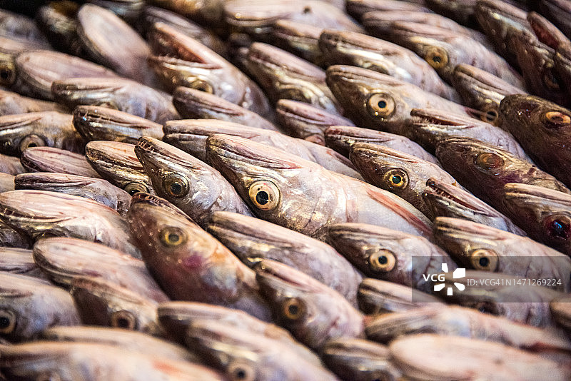 市场上出售的突尼斯鳕鱼图片素材