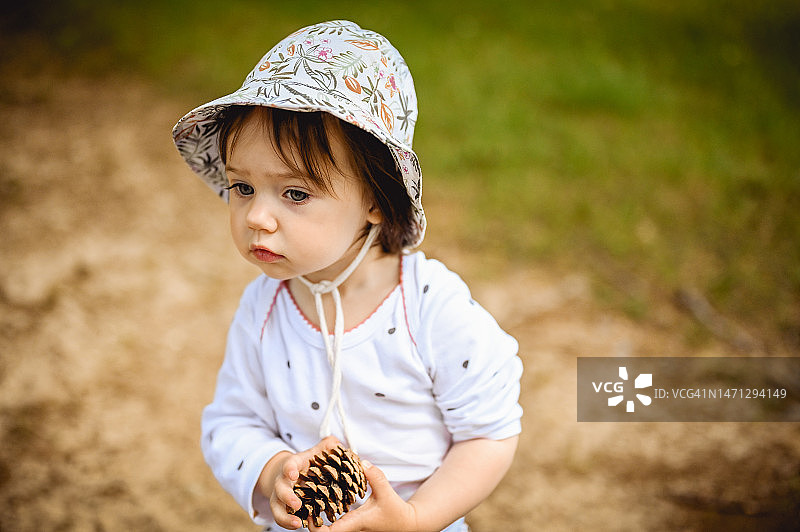 女婴手 holding 松果肖像图片素材