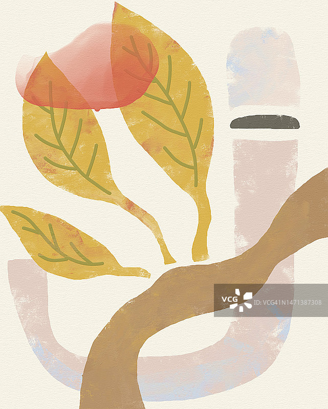 波西米亚风叶子图片素材