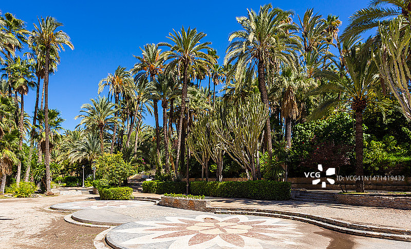 西班牙阿利坎特省埃尔切市公园图片素材