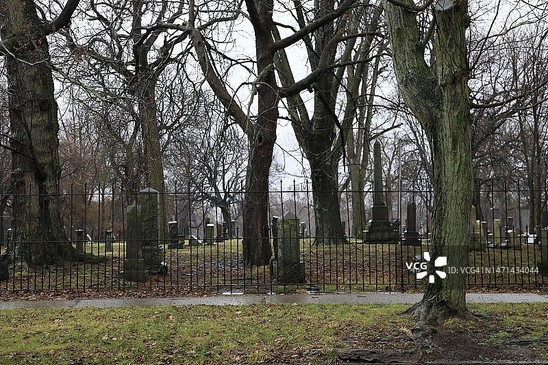 寒冷潮湿的墓地图片素材