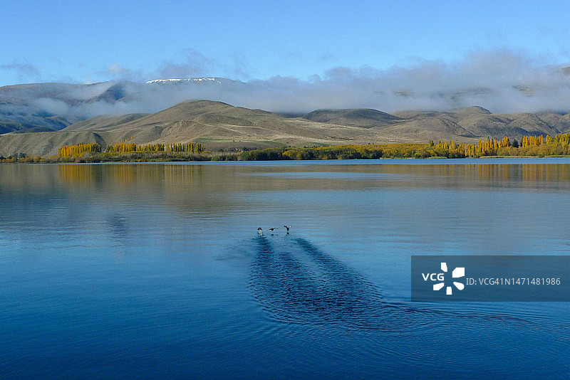 秋季的宁静湖泊 | 新西兰图片素材