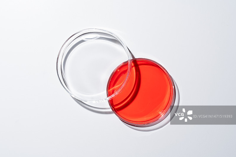打开装有红色培养基的培养皿图片素材