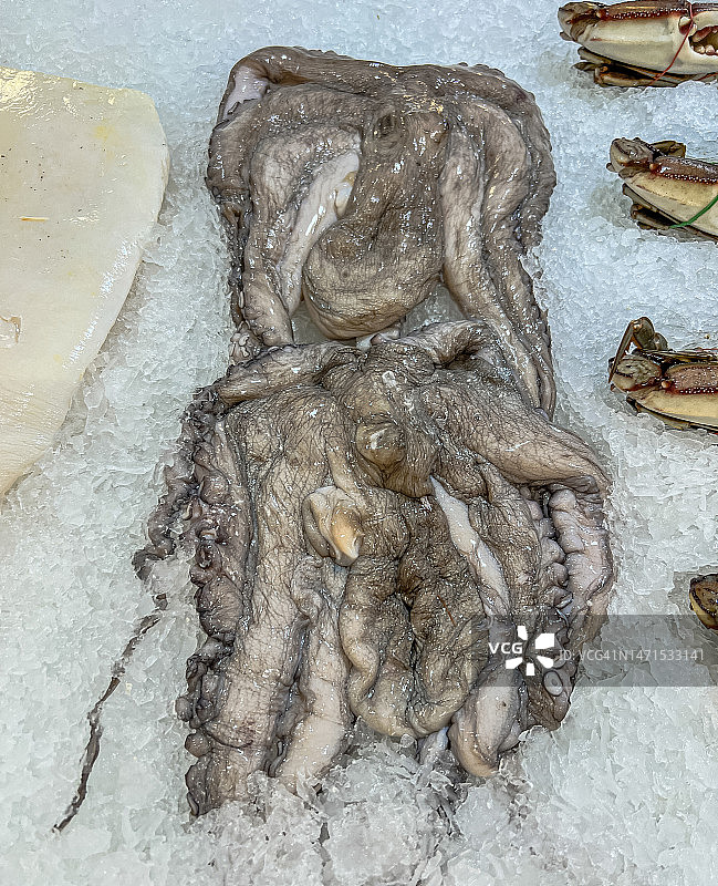 墨西哥科苏梅尔市场上冰上的新鲜捕获的完整章鱼图片素材