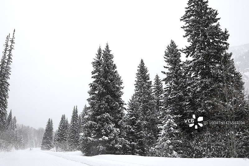 寒冷冬季的荒野图片素材