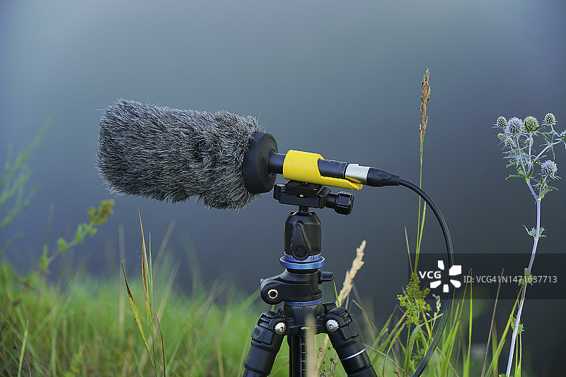 带防风罩的杆式麦克风图片素材